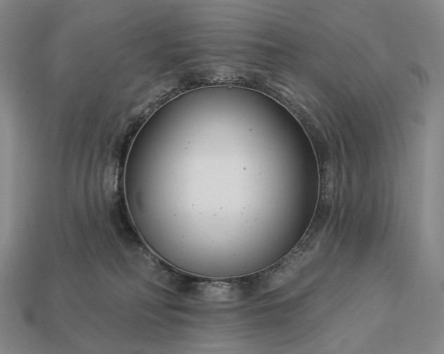 X0000112940230200909071101