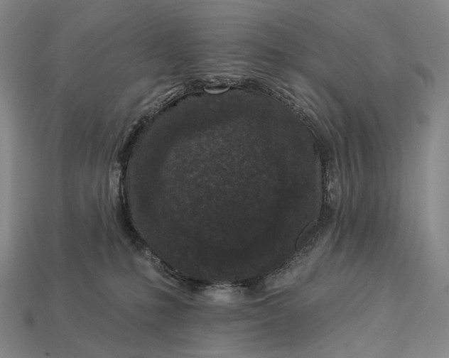 X0000112940231200909071101