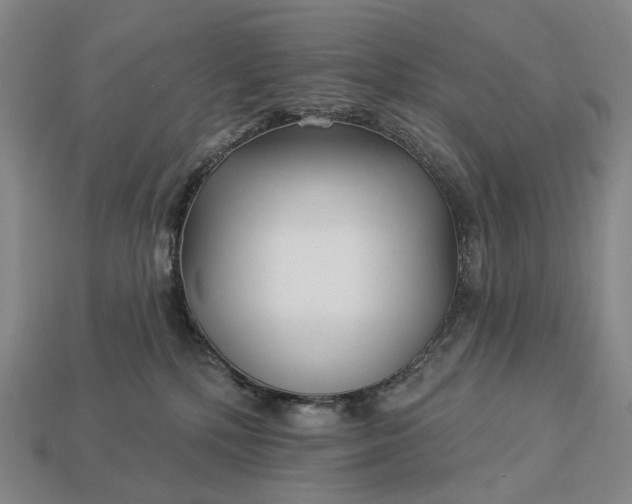 X0000112940232200909071101