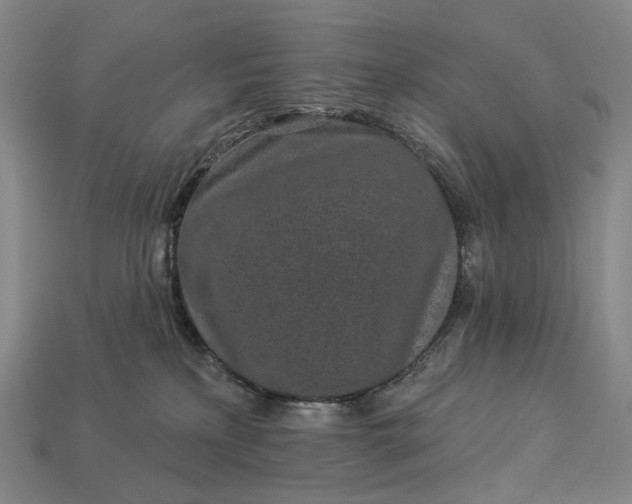 X0000112940233200909071101