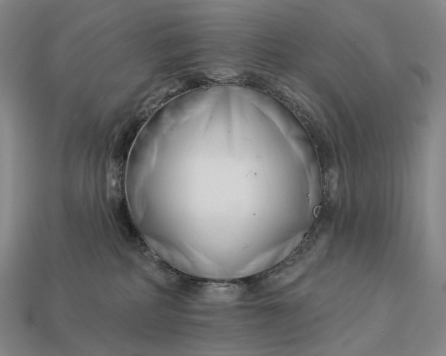 X0000112940234200909071101