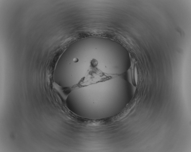 X0000112940235200909071101