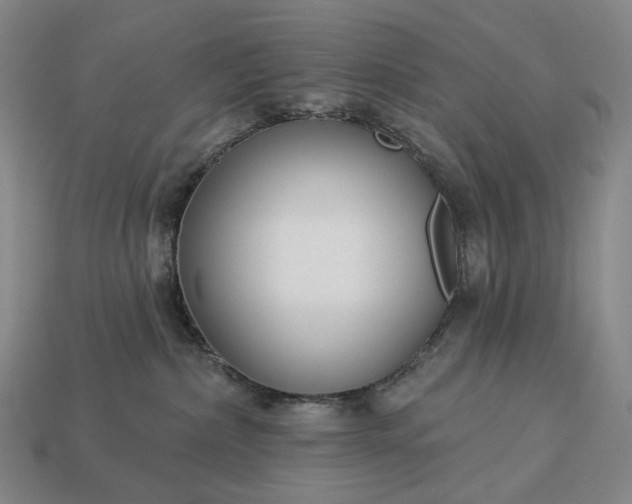 X0000112940236200909071101