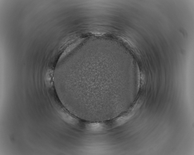 X0000112940237200909071101