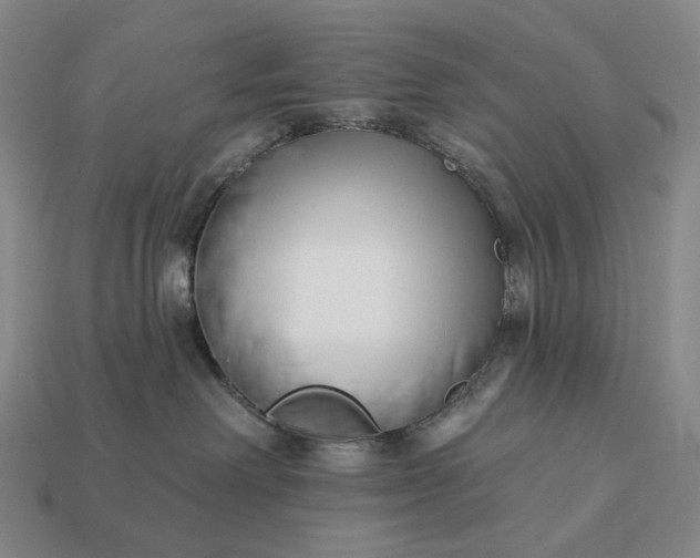 X0000112940238200909071101