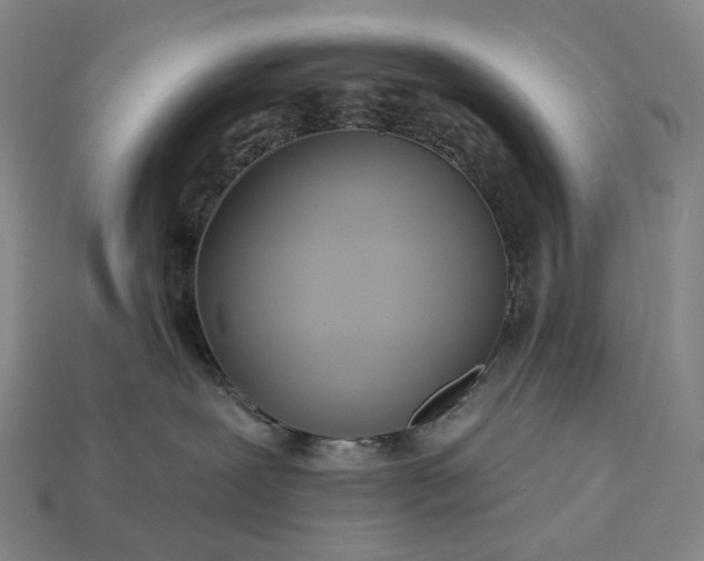 X0000112940239200909071101