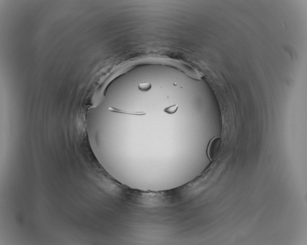 X0000112940240200909071101