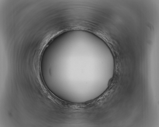 X0000112940241200909071100