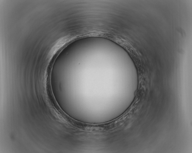 X0000112940242200909071100