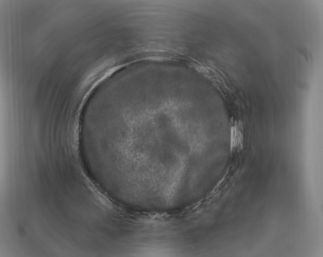 X0000112940243200909071100