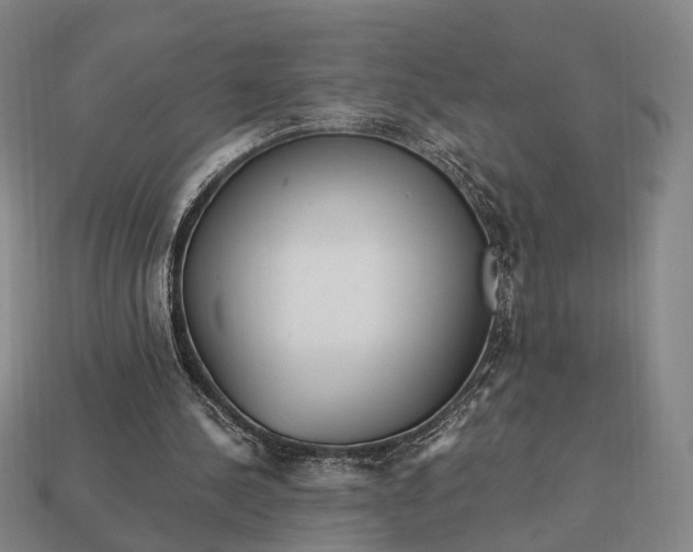 X0000112940244200909071100