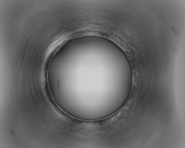 X0000112940245200909071100