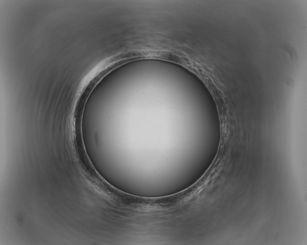 X0000112940246200909071100