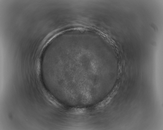 X0000112940247200909071100