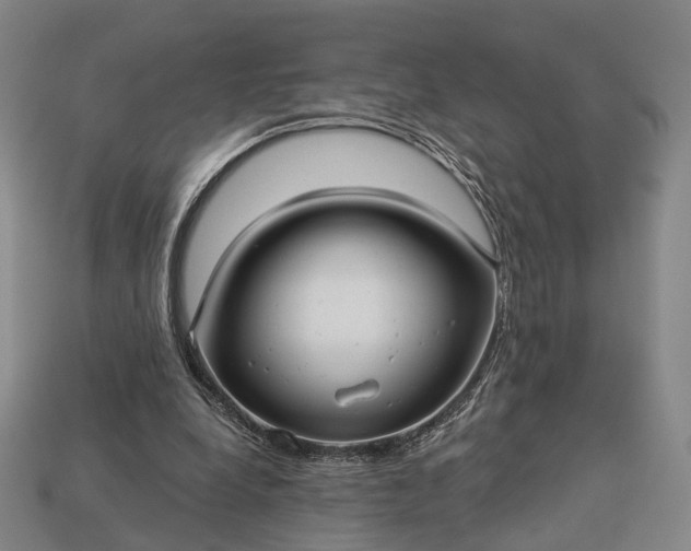 X0000112940248200909071101