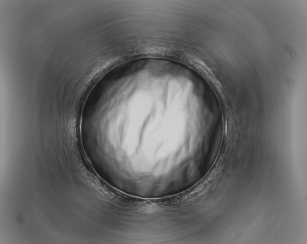 X0000112940249200909071101