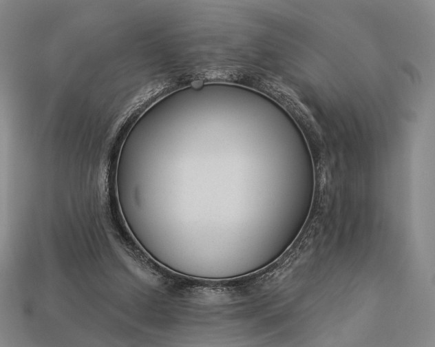 X0000112940250200909071101