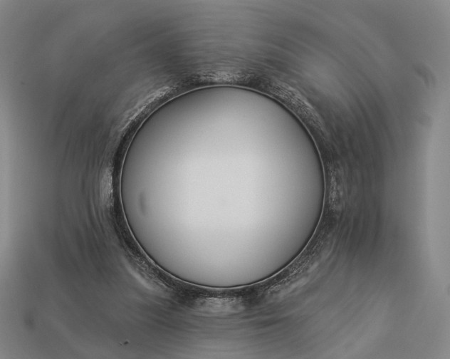 X0000112940251200909071101