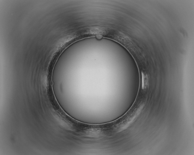 X0000112940252200909071101