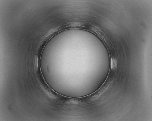 X0000112940253200909071101