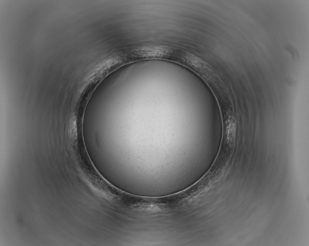 X0000112940254200909071101