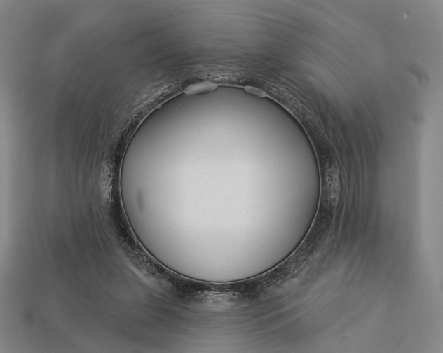 X0000112940255200909071101