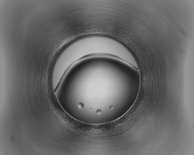 X0000112940256200909071101