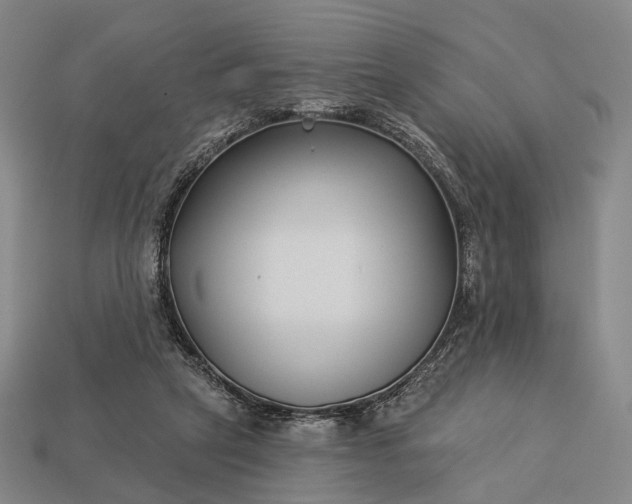 X0000112940257200909071101