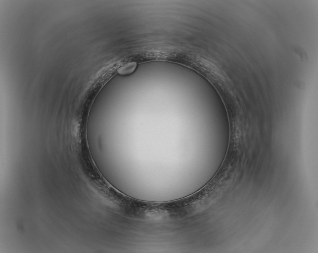 X0000112940258200909071101