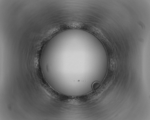 X0000112940259200909071101