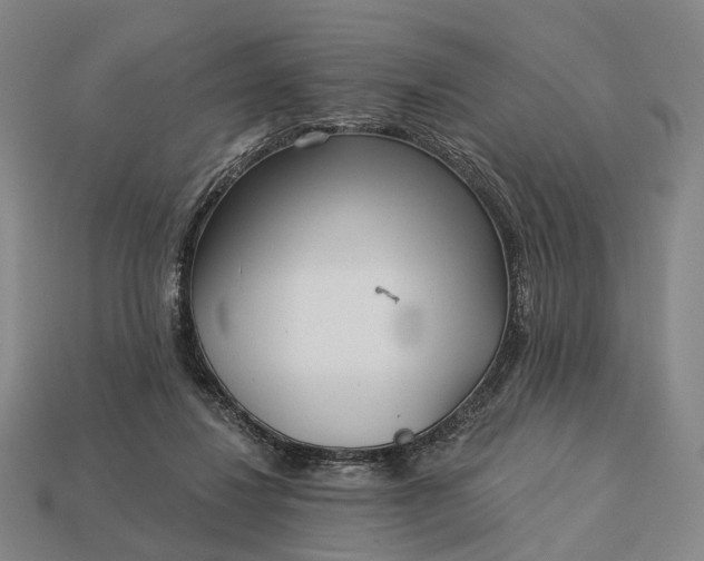 X0000112940260200909071101