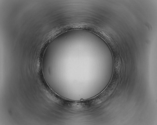 X0000112940261200909071101