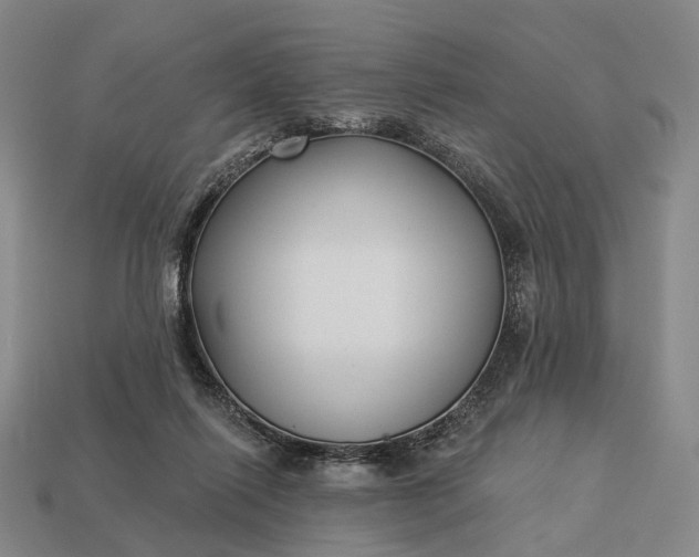 X0000112940262200909071101