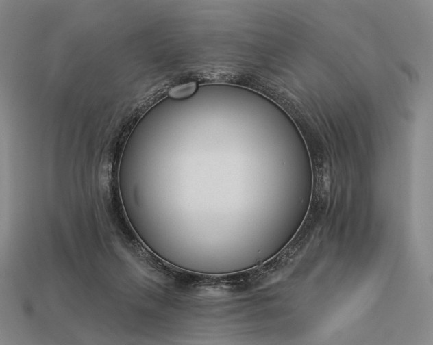 X0000112940263200909071101