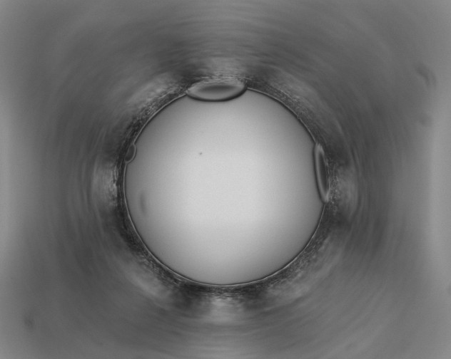 X0000112940264200909071101