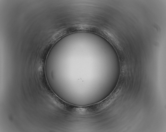 X0000112940265200909071101