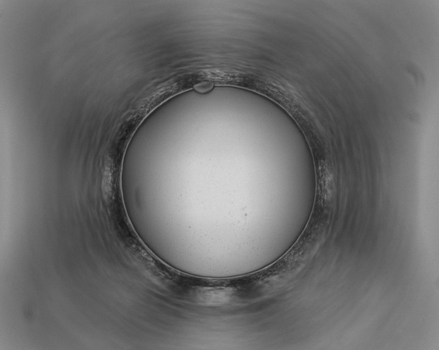 X0000112940266200909071101