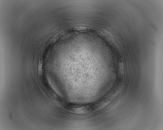 X0000112940267200909071101