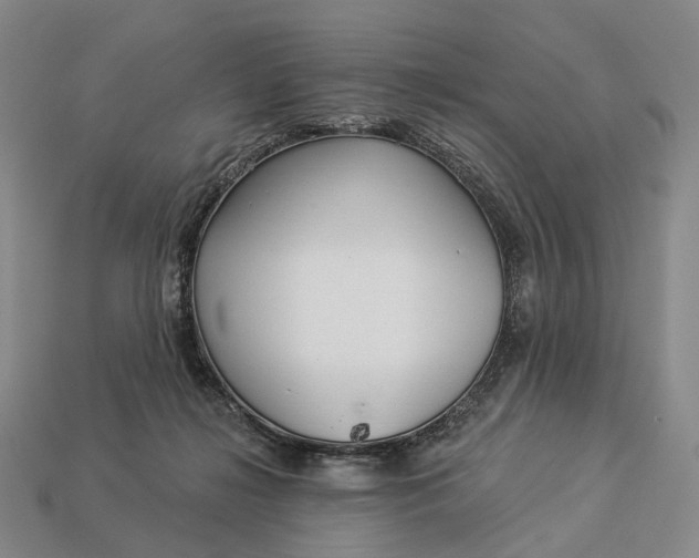 X0000112940268200909071101