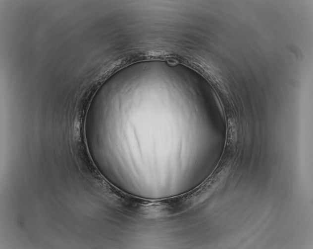 X0000112940269200909071101