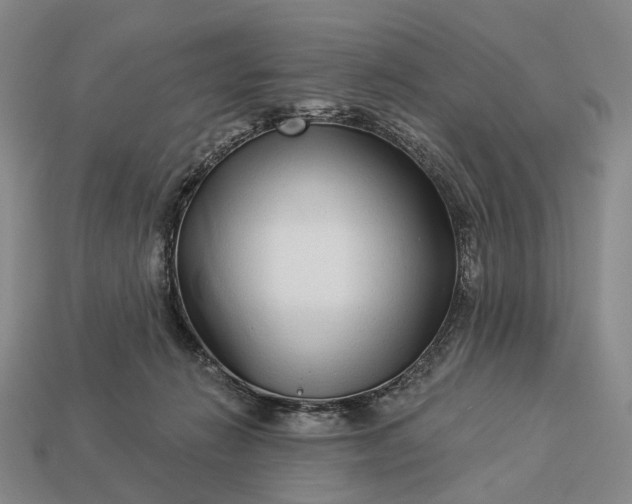 X0000112940270200909071101