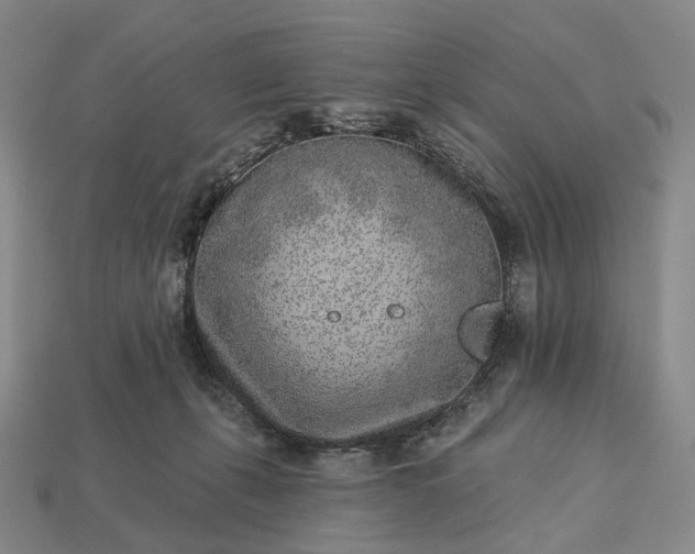 X0000112940271200909071101