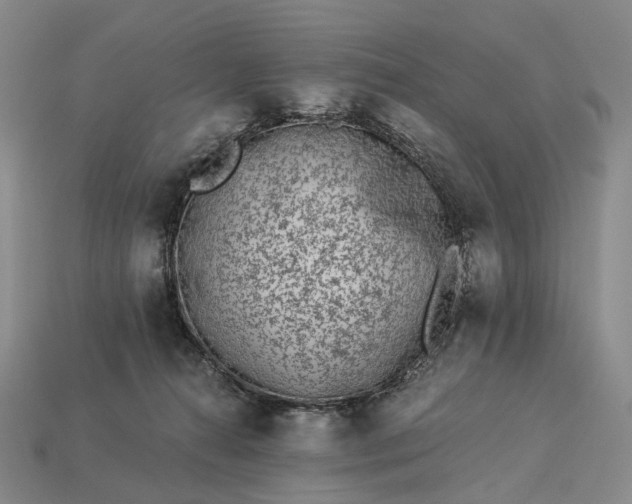 X0000112940272200909071101