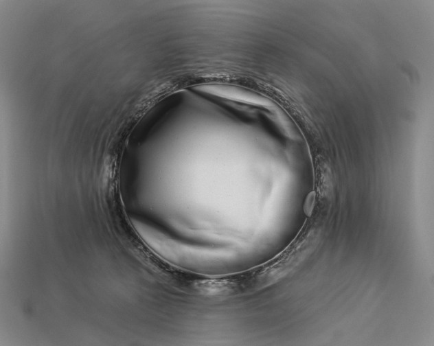 X0000112940273200909071101