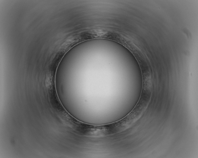 X0000112940274200909071101