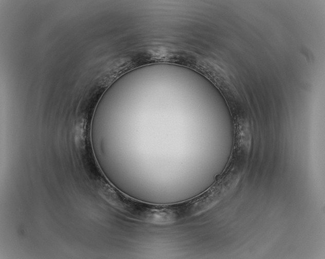 X0000112940275200909071101