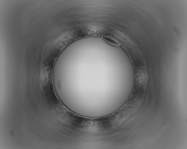 X0000112940276200909071101