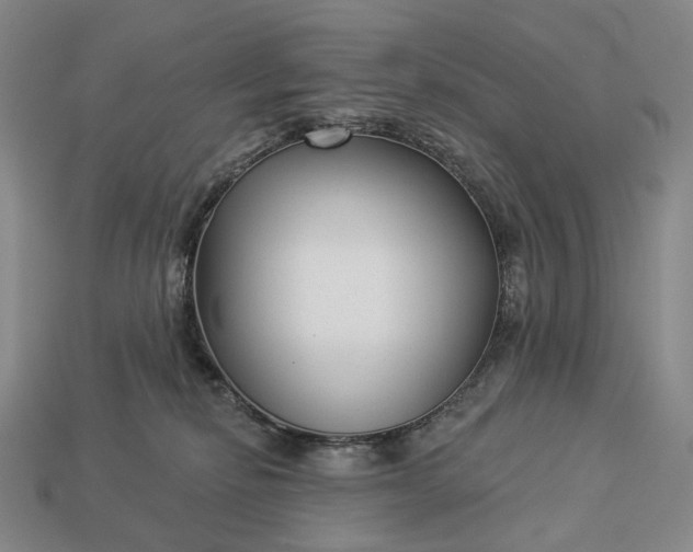 X0000112940278200909071101