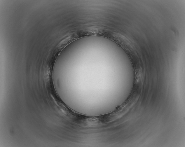 X0000112940279200909071101