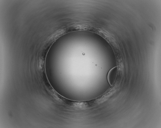 X0000112940281200909071101